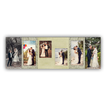 4X8 Accordian - 6 Fold(009)