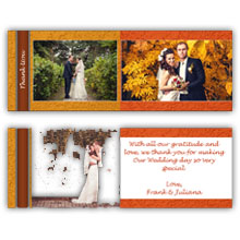 5.5X4 Folded Card (028L)