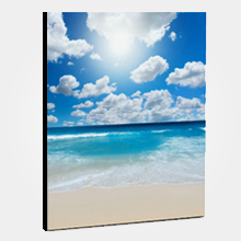 20X24 Canvas Gallery Wrap